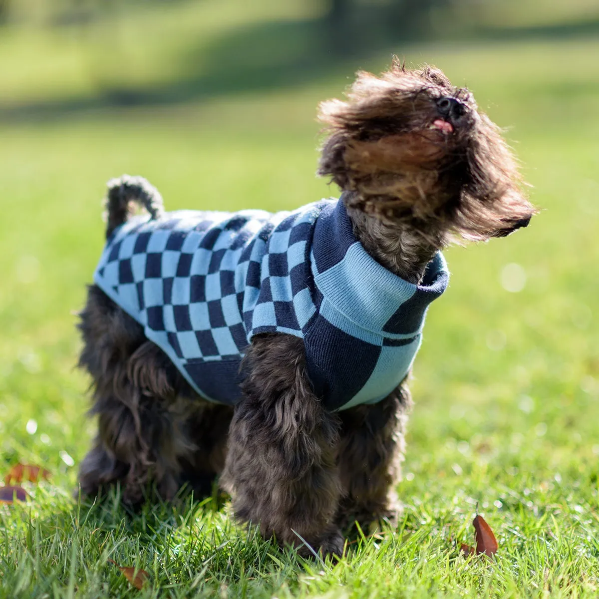 Bespoke Dog Sweater Breeze Bi-Color