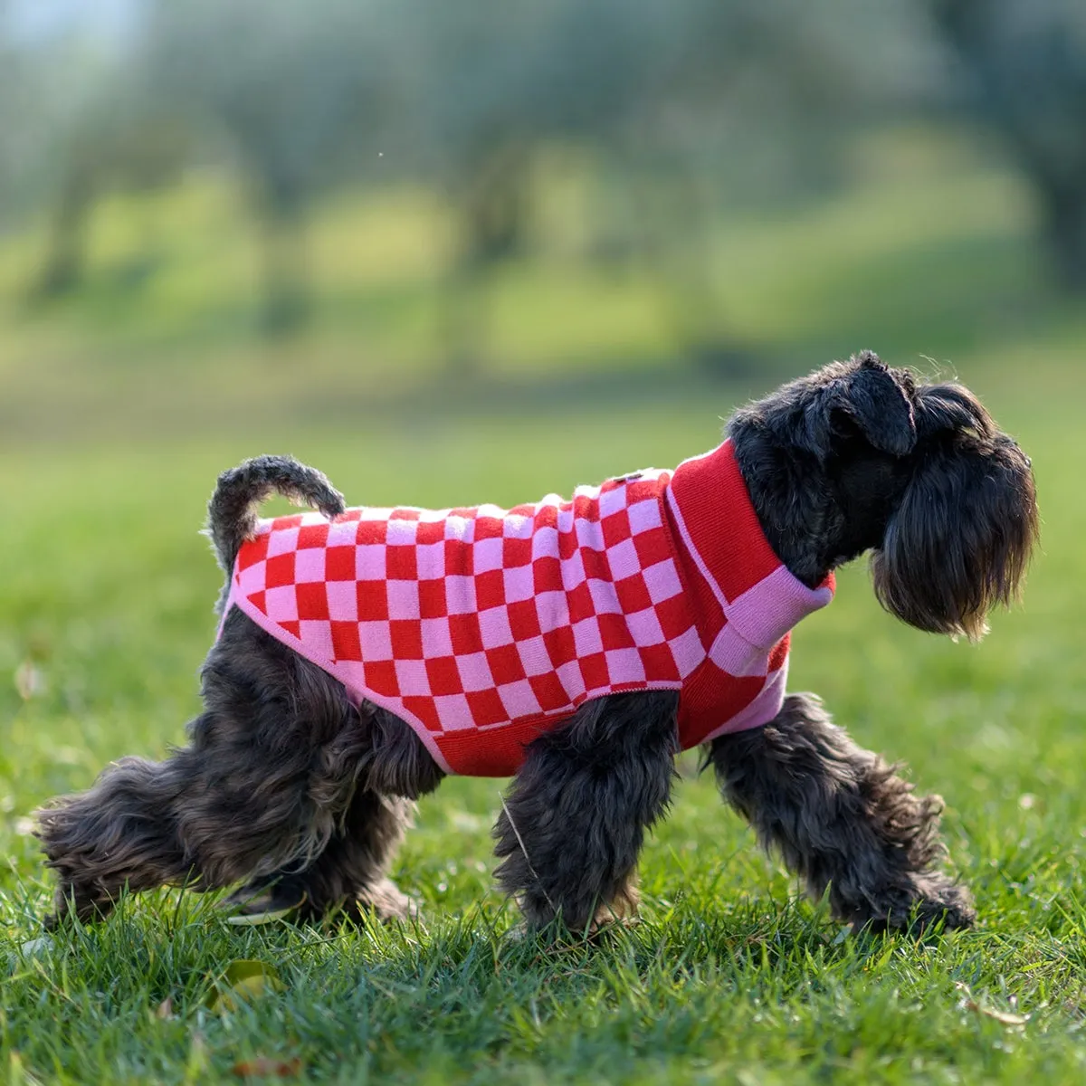 Bespoke Dog Sweater Glam Bi-Color