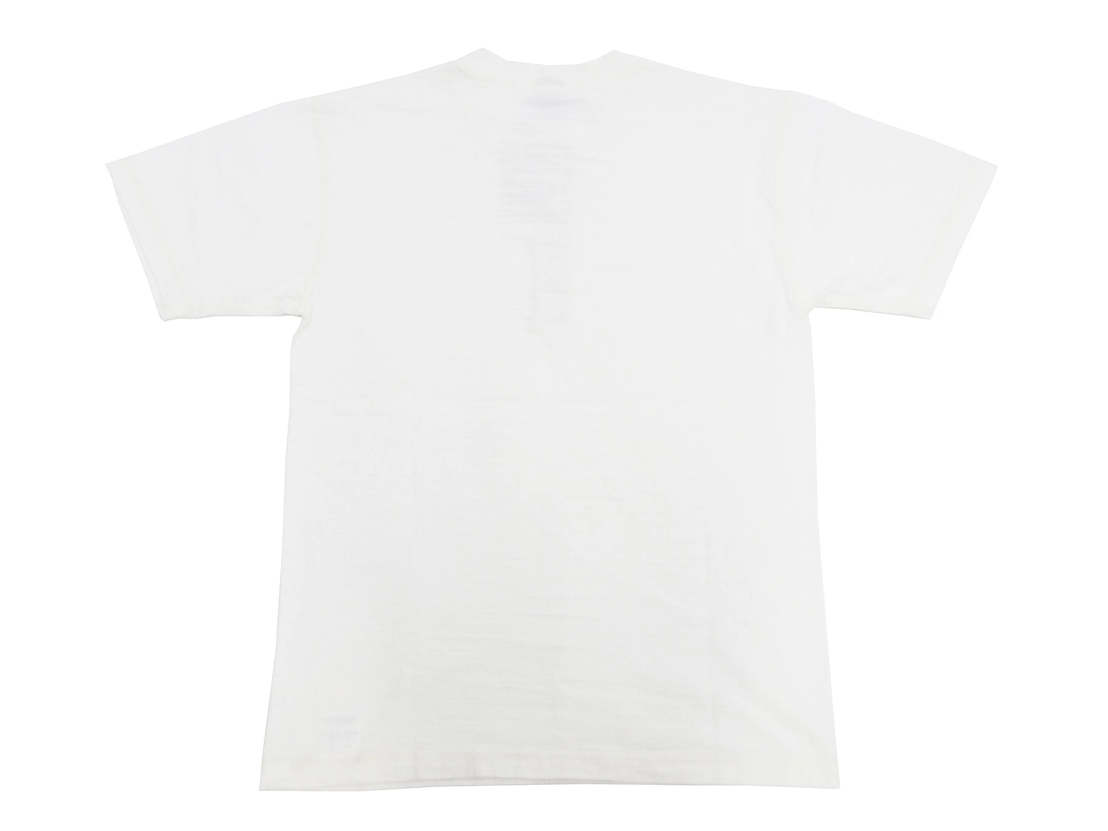 Buzz Rickson Henley T-Shirt Men's Short Sleeve Plain Loopwheeled Slub Yarn Tee BR79192 101 White