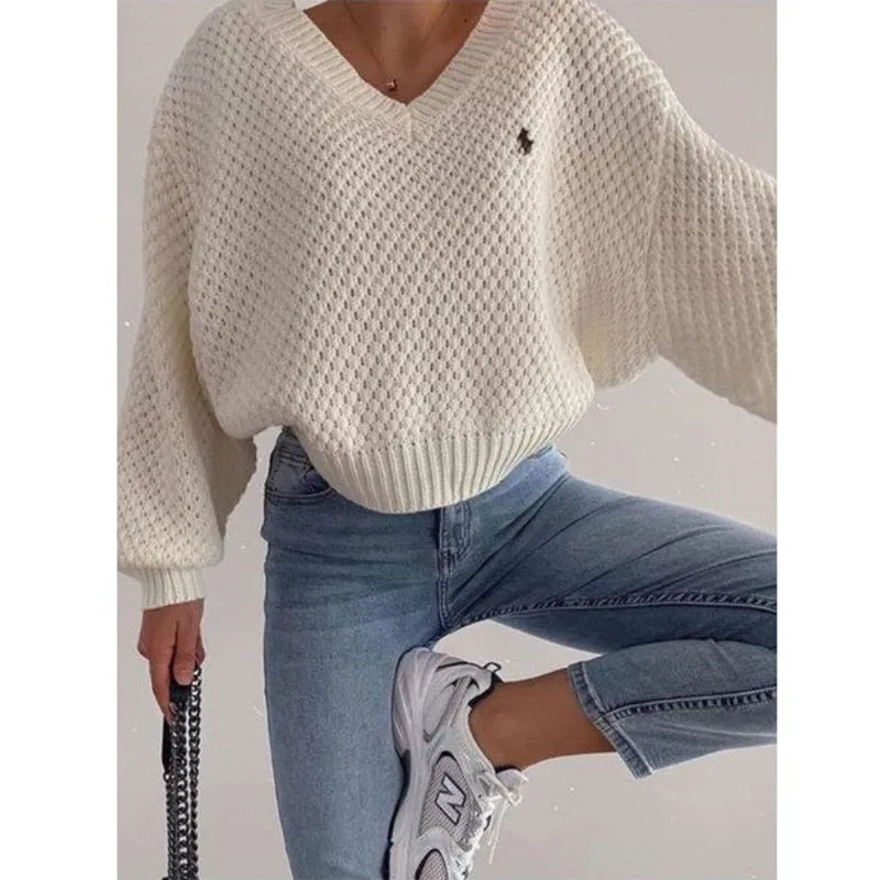 deanwangkt Knitted Loose Women Sweater Solid Casual V Neck Long Sleeve Pullover Sweaters  Autumn Winter Embroidery Sweater Oversize Top