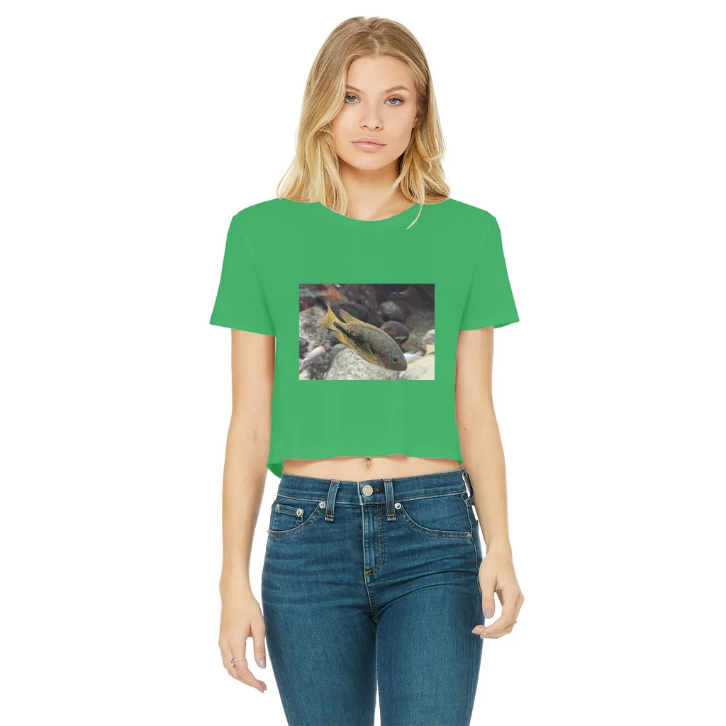 Green Orange Fish Classic Women's Cropped Raw Edge T-Shirt