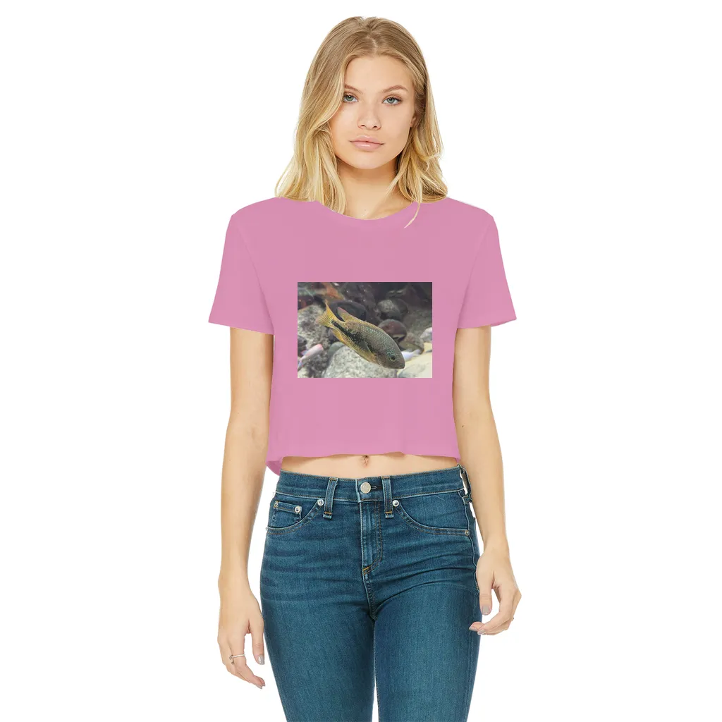 Green Orange Fish Classic Women's Cropped Raw Edge T-Shirt