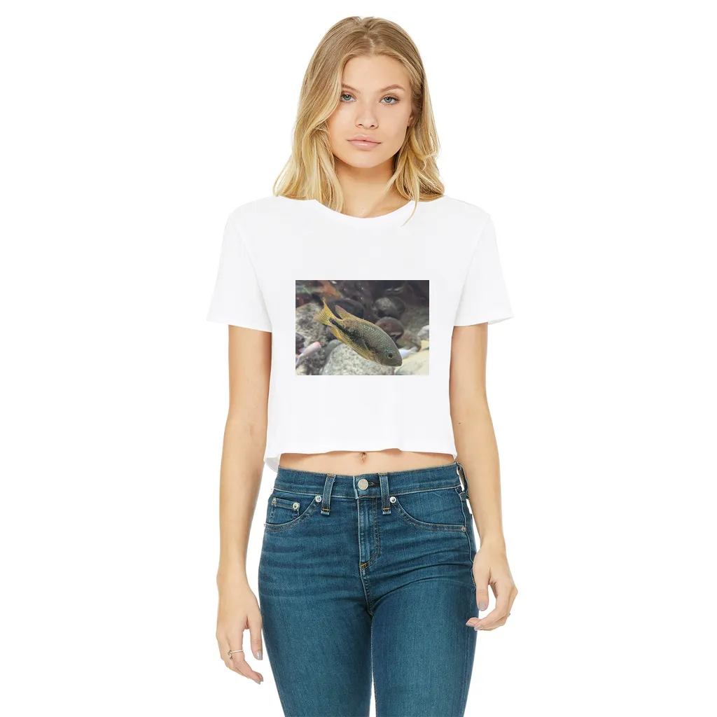 Green Orange Fish Classic Women's Cropped Raw Edge T-Shirt