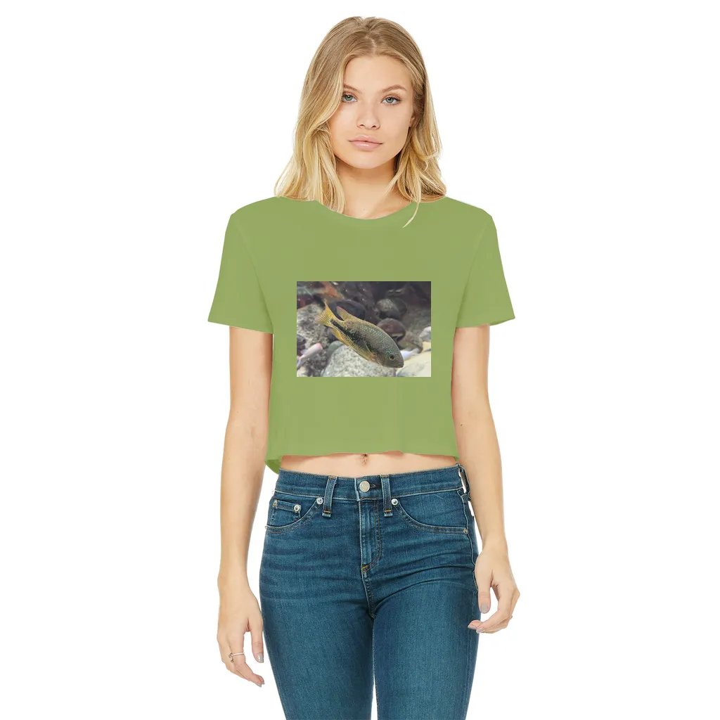 Green Orange Fish Classic Women's Cropped Raw Edge T-Shirt