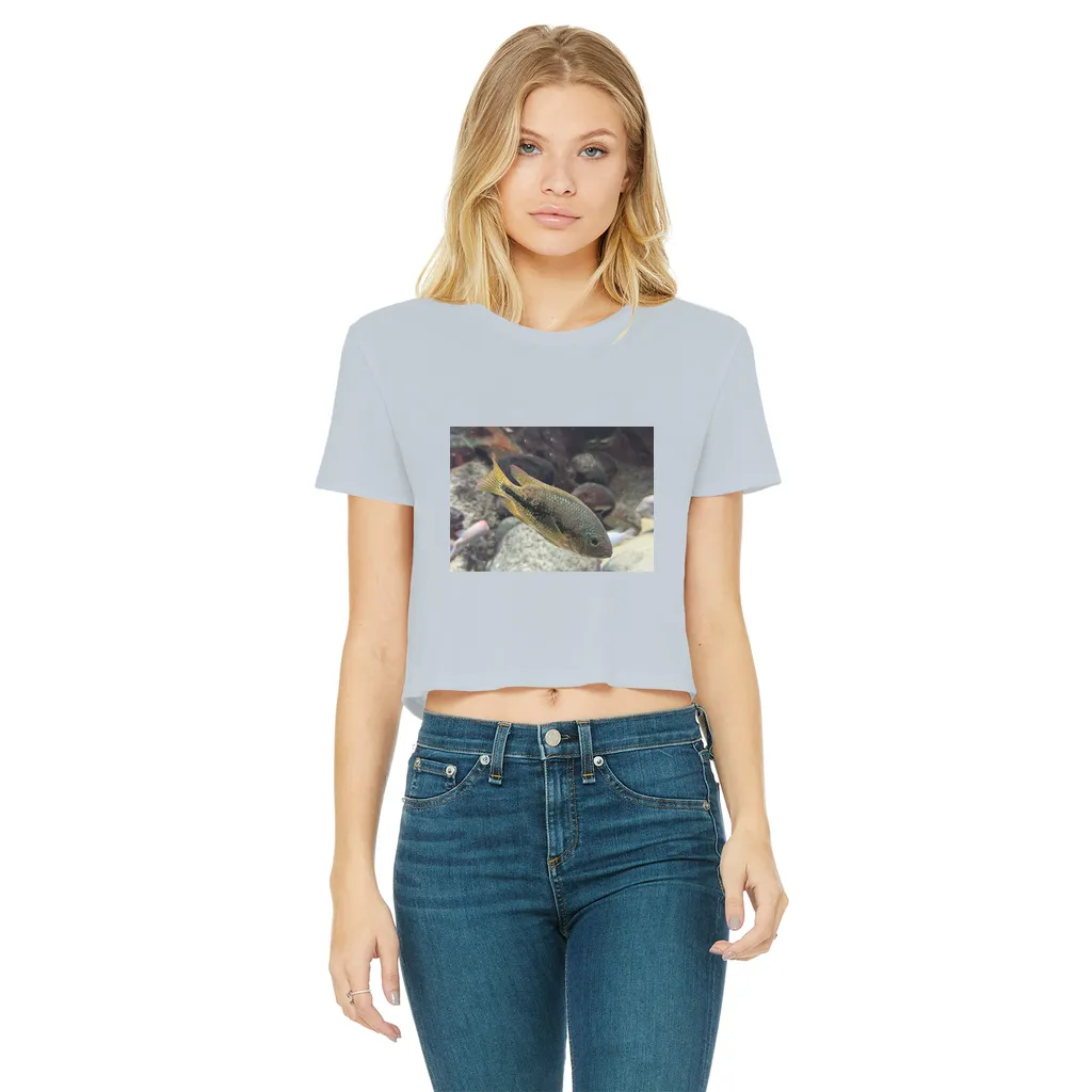 Green Orange Fish Classic Women's Cropped Raw Edge T-Shirt