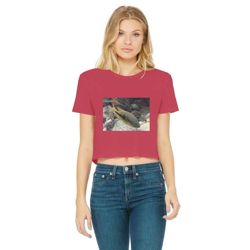 Green Orange Fish Classic Women's Cropped Raw Edge T-Shirt