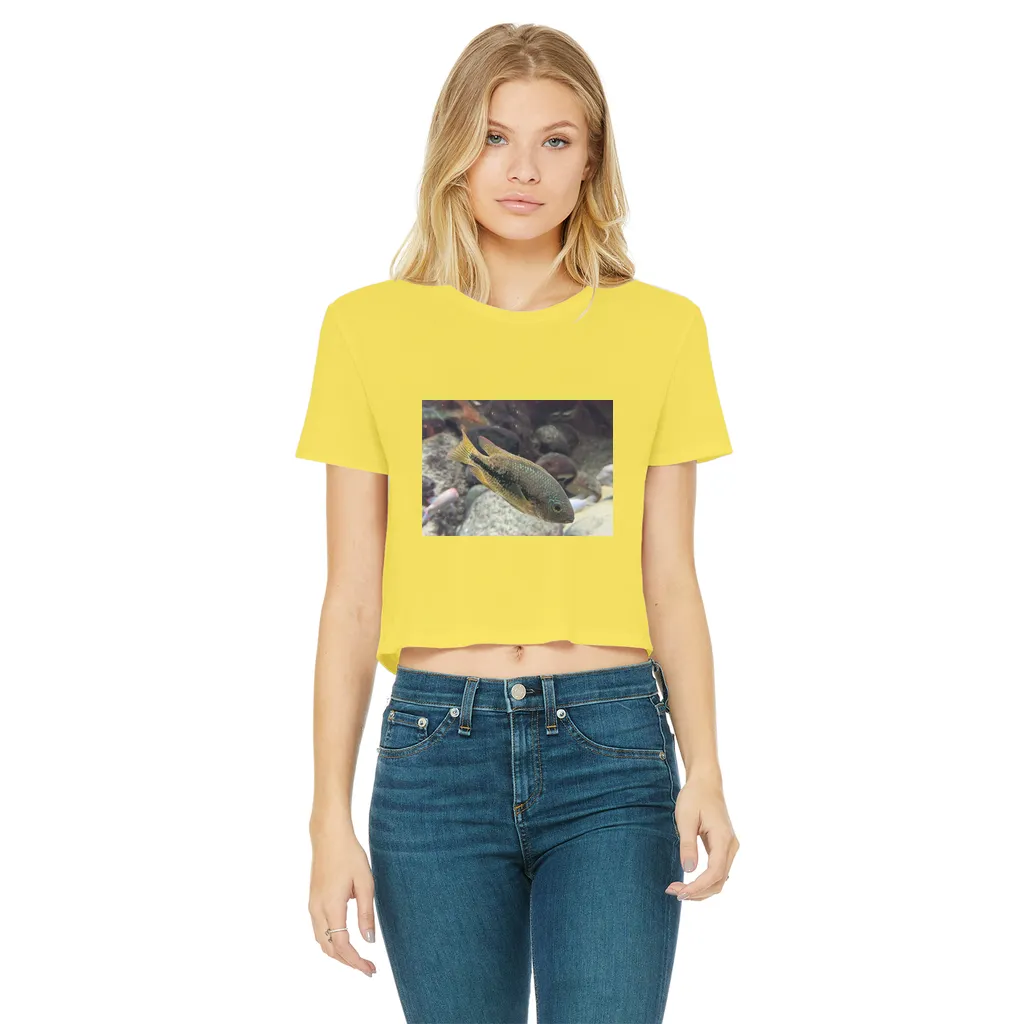 Green Orange Fish Classic Women's Cropped Raw Edge T-Shirt