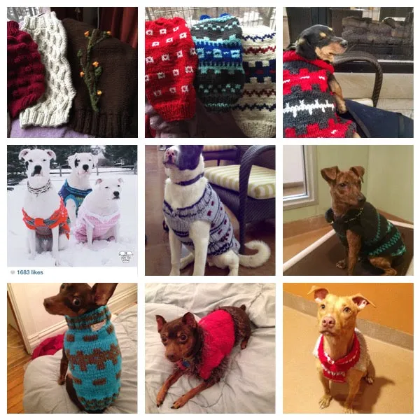 Hand Knit Dog Sweaters