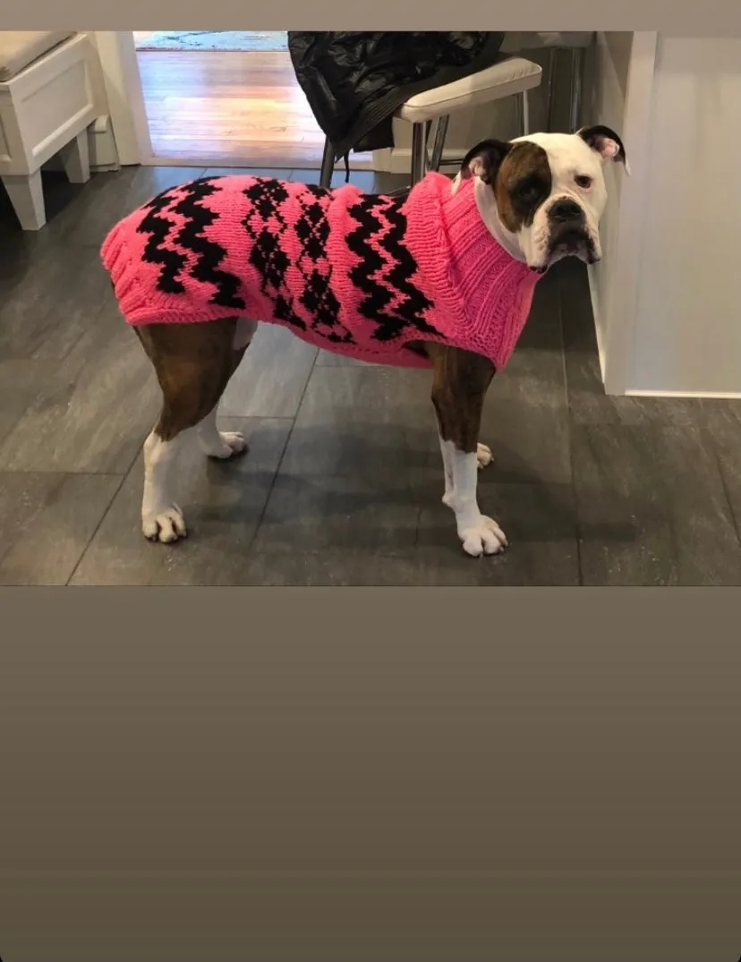 Hand Knit Dog Sweaters