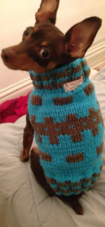 Hand Knit Dog Sweaters