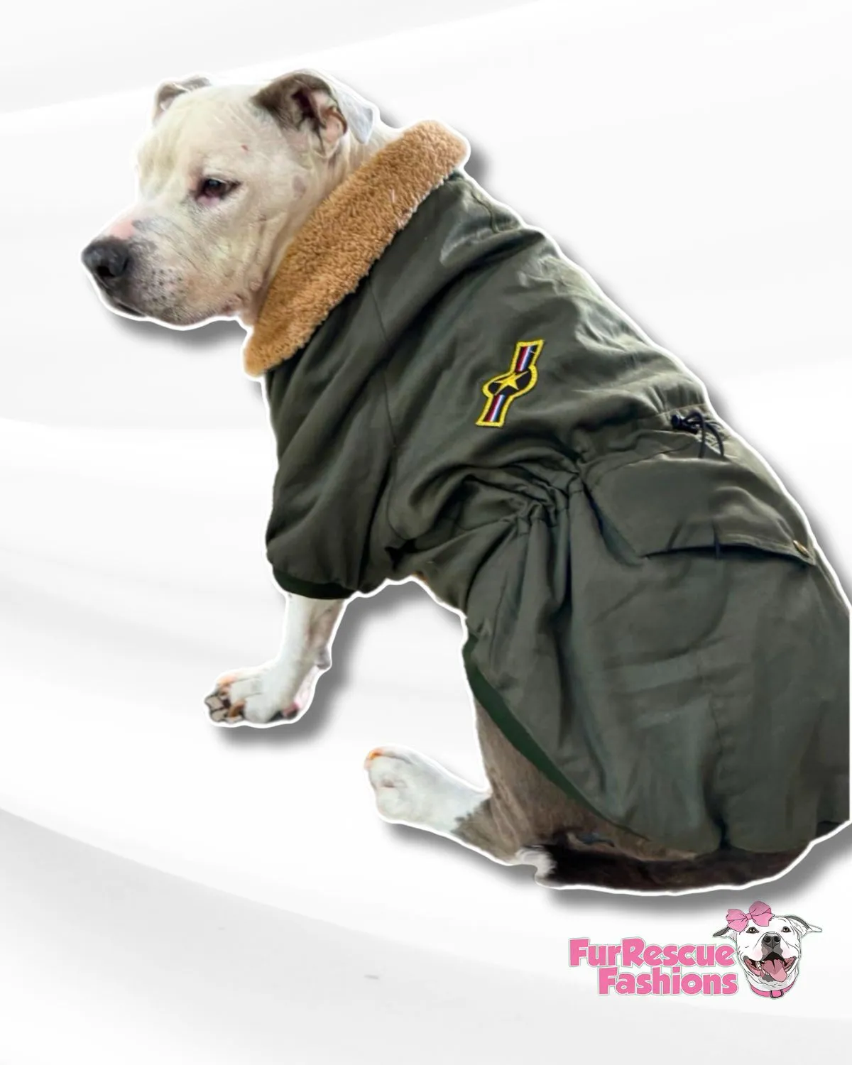 Pilot Dog Bomber Jacket